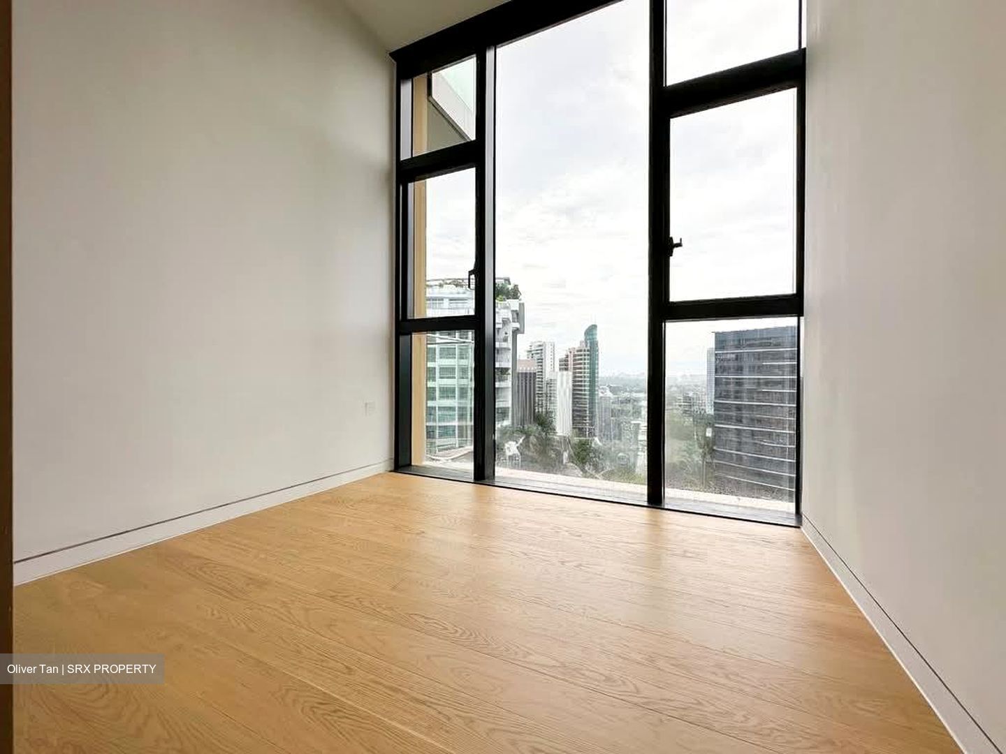 Cairnhill 16 (D9), Apartment #562125611